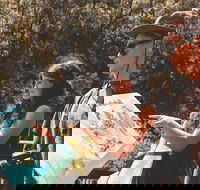 Springbrook andTamborine Rainforest Tour Incl Natural Bridge and Glow Worm Cave - Accommodation Ballina