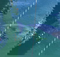 Dolphin Cruise from Adelaide with Optional Dolphin Swim - Accommodation Ballina