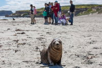 Book Viator Accommodation Vacations Accommodation Ballina Accommodation Ballina