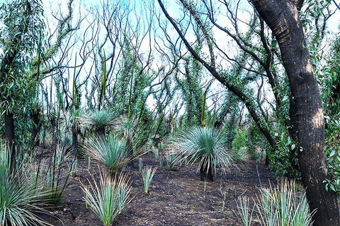 NEW TOUR - Kangaroo Island Road To Recovery Tour (1 Day/1 Night) - Accommodation Ballina 3