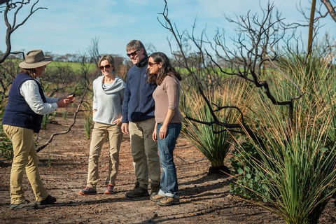 NEW TOUR - Kangaroo Island Road To Recovery Tour (1 Day/1 Night) - Accommodation Ballina 4