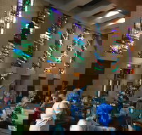 Cairns Shore Excursion Cairns City Sights  Surrounds Tour - Accommodation Ballina