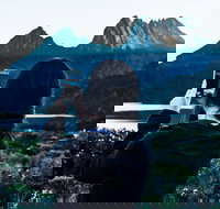 Cradle Mountain Park Explorer Guided Tour - Accommodation Ballina