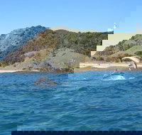 Kayaking with Dolphins in Byron Bay Guided Tour - Accommodation Ballina