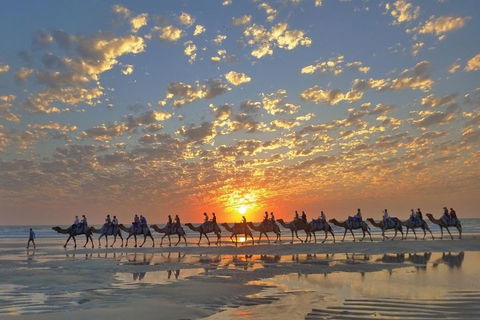 Broome City Sightseeing Tour With Optional Camel Ride - Accommodation Ballina 1