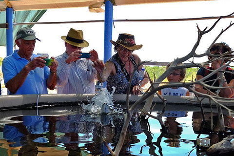 Cape Leveque 4WD Tour From Broome With Optional Return Flight - Accommodation Ballina 0