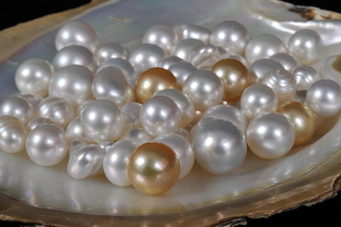 Cape Leveque 4WD Tour From Broome With Optional Return Flight - Accommodation Ballina 5