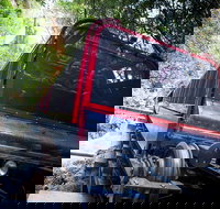 Blue Mountains Hop-on Hop-off Tour with Optional Scenic World Rides - Accommodation Ballina