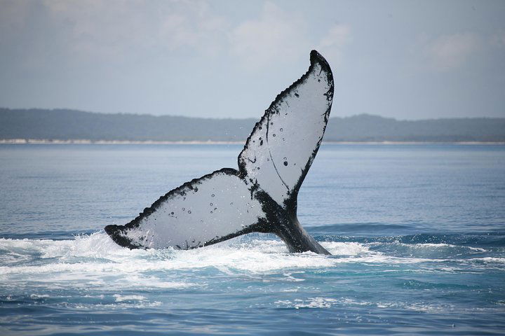 Hervey Bay QLD Accommodation Ballina