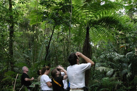 Atherton Tablelands Rain Forest By Night From Cairns - Accommodation Ballina 3