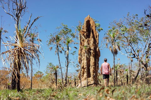 Litchfield National Park Waterfalls And Wildlife Tour From Darwin - Accommodation Ballina 4