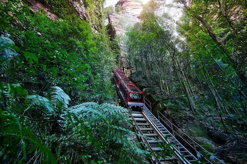 Blue Mountains Private Tour With Kangaroos & Koala Encounter - Accommodation Ballina 1