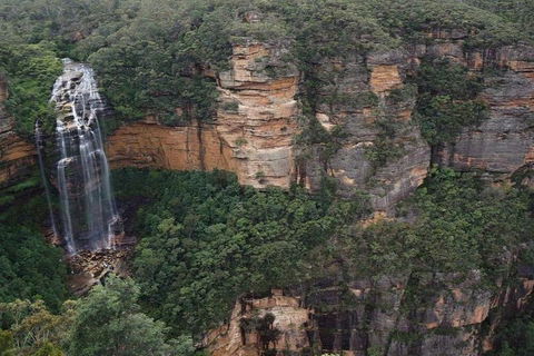 Blue Mountains Private Tour With Kangaroos & Koala Encounter - Accommodation Ballina 2
