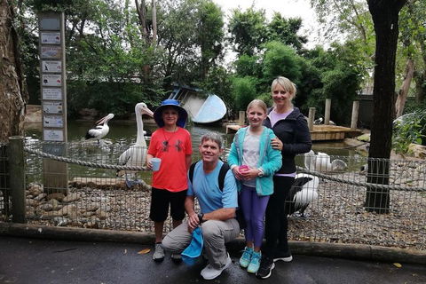 Blue Mountains Private Tour With Kangaroos & Koala Encounter - Accommodation Ballina 4