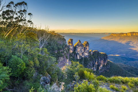 Blue Mountains Private Tour With Kangaroos & Koala Encounter - Accommodation Ballina 5