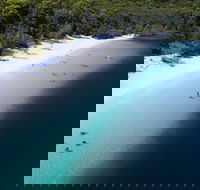 All-Inclusive Fraser Island Day Tour - Accommodation Ballina