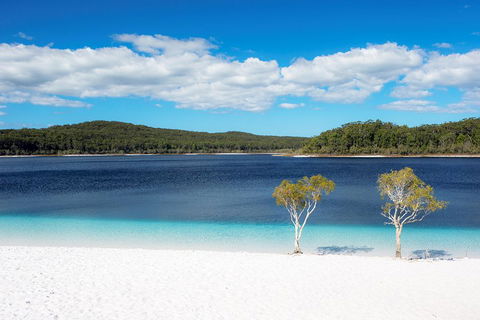 All-Inclusive Fraser Island Day Tour - Accommodation Ballina 3