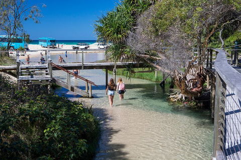 All-Inclusive Fraser Island Day Tour - Accommodation Ballina 4