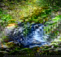 Day Tour in Mt. Field Mt. Wellington Bonorong Wildlife Sanctuary and Richmond - Accommodation Ballina