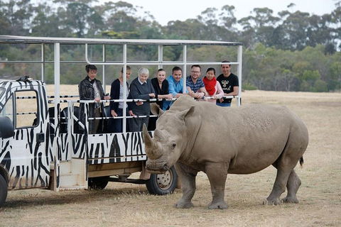 Off-Road Safari At Werribee Open Range Zoo - Accommodation Ballina 0