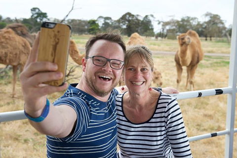 Off-Road Safari At Werribee Open Range Zoo - Accommodation Ballina 1