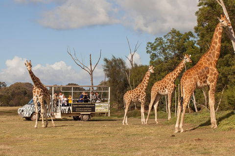Off-Road Safari At Werribee Open Range Zoo - Accommodation Ballina 3