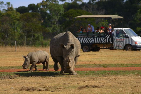 Off-Road Safari At Werribee Open Range Zoo - Accommodation Ballina 5