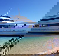 Moreton Island Day Trip Kayak Snorkel  Sandboard frm Brisbane or Gold Coast - Accommodation Ballina