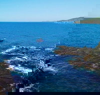 Julian Rocks Byron Bay Cruise - Accommodation Ballina