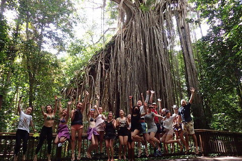 Atherton Tablelands Waterfalls Tour From Cairns - Accommodation Ballina 5