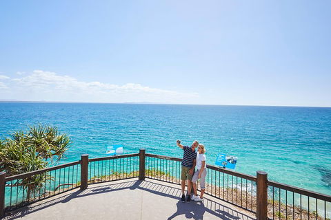 Noosa Everglades Serenity Cruise & Highlights Tour Inc. Lunch & Cruise - Accommodation Ballina 3