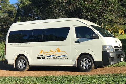 Noosa Everglades Serenity Cruise & Highlights Tour Inc. Lunch & Cruise - Accommodation Ballina 5