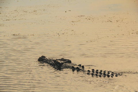 Yellow Water Cruise - Kakadu - Accommodation Ballina 2