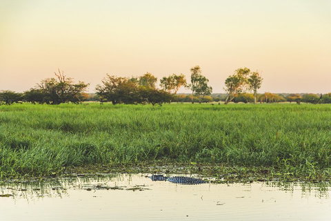 Yellow Water Cruise - Kakadu - Accommodation Ballina 3