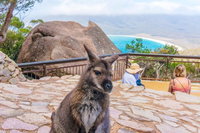 Book Viator Accommodation Vacations Accommodation Ballina Accommodation Ballina