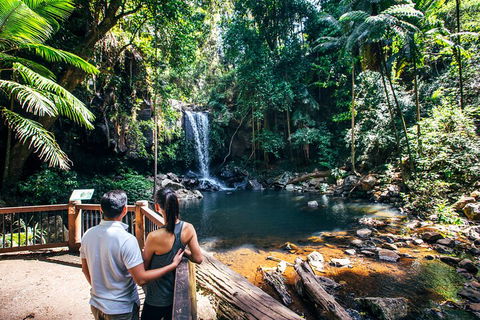 Aquaduck & Your Choice Of Gold Coast Rainforest Tour - Accommodation Ballina 0