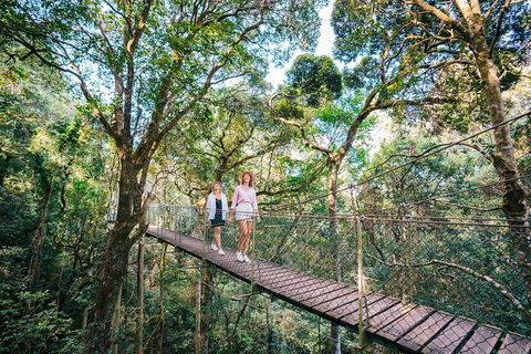 Aquaduck & Your Choice Of Gold Coast Rainforest Tour - Accommodation Ballina 4