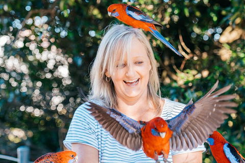 Aquaduck & Your Choice Of Gold Coast Rainforest Tour - Accommodation Ballina 5