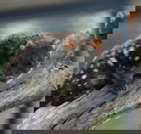 Sunset Experience - Accommodation Ballina