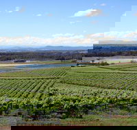 Private Hunter Valley Wine-Tasting Day Tour from Sydney - Accommodation Ballina