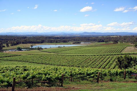 Private Hunter Valley Wine-Tasting Day Tour From Sydney - Accommodation Ballina 0