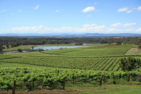 Private Hunter Valley Wine-Tasting Day Tour From Sydney - Accommodation Ballina 1