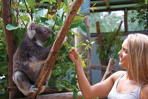 Private Guided Tour: Blue Mountains Tour From Sydney - Accommodation Ballina 5
