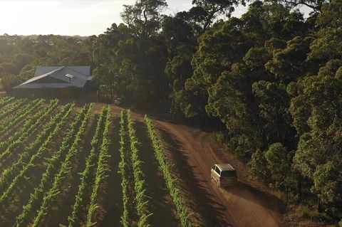 The All About Margaret River Tour: Wine, Coffee, Lunch And Forest - Accommodation Ballina 1