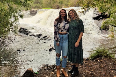 The All About Margaret River Tour: Wine, Coffee, Lunch And Forest - Accommodation Ballina 2