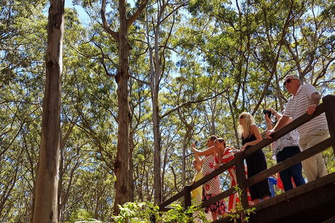 The All About Margaret River Tour: Wine, Coffee, Lunch And Forest - Accommodation Ballina 3