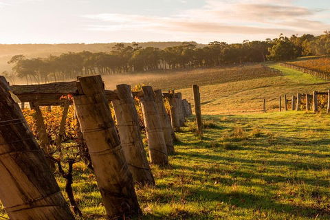 The All About Margaret River Tour: Wine, Coffee, Lunch And Forest - Accommodation Ballina 5