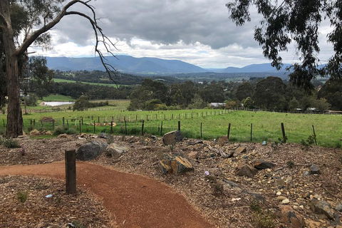Yarra Valley Wine Tour Inc Lunch With A Glass Of Wine, Tastings And Chocolate - Accommodation Ballina 0