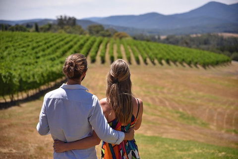 Yarra Valley Wine, Bubbles And Gin Tour! - Accommodation Ballina 4