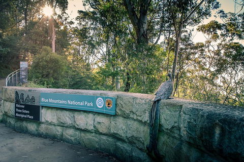 Ultimate Blue Mountains Waterfalls, Walks & Sunset PRIVATE Tour - Accommodation Ballina 3